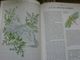 Delcampe - Loisirs  Créatifs  Points De Croix  English Garden Embroidery ( Stafford Whiteaker) 144 Pages - Knutselen/Doe-het-zelf