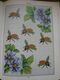 Delcampe - Loisirs  Créatifs  Points De Croix  English Garden Embroidery ( Stafford Whiteaker) 144 Pages - Bricolage