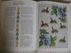 Delcampe - Loisirs  Créatifs  Points De Croix  English Garden Embroidery ( Stafford Whiteaker) 144 Pages - Heimwerken