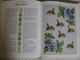 Delcampe - Loisirs  Créatifs  Points De Croix  English Garden Embroidery ( Stafford Whiteaker) 144 Pages - Bricolaje
