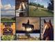 KNUTSFORD B.C. DREAMSCAPE RANCH HORSE PFERD  NICE STAMP - Autres & Non Classés