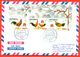 Indonesia 2017. Full Sheet Chinese New Year. Year Of The Rooster.The Envelope Actually Passed The Mail. - Indonesia