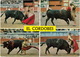 TOROS - Manuel Benitez 'El Cordobes'  - (Espana/Spain) - Corrida