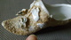 PETIT SOULIER Miniatiure 10cm En PORCELAINE - Décor Fleurs Relief (accidenté) 11cmx4cm - Altri & Non Classificati