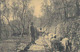 Scena Campestre - 1911        (A-65-100208) - Allevamenti