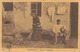 Tarchetti - Scena Campestre - 1910        (A-65-100208) - Boerderijen