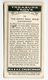 Churchman - 1937 - Treasure Trove - 34 - The Mount Sinai Bible Manuscript - Churchman