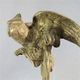 PETIT PERROQUET EN BRONZE + Oiseau Statue - Brons