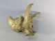 PETIT PERROQUET EN BRONZE + Oiseau Statue - Bronzen