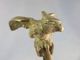 Delcampe - PETIT PERROQUET EN BRONZE + Oiseau Statue - Brons