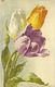 Klein Catharina Illustrateur Fleurs Lot 3 Cartes  Tulipes Jonquilles Mures 1114 1181 319 - Klein, Catharina