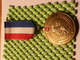 Medaille - Nationale Zwemvierdaagse 13 - Sonstige & Ohne Zuordnung