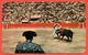 Mexico 1976.Postcard Went Through The Mail. Bullfight. - Mexico