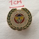 Badge (Pin) ZN006507 - Football (Soccer / Calcio) Turkey Fenerbahçe (Fenerbahce) Spor Kulübü - Football