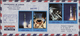 Br Adschman / Ajman: 1970 (5.8./3.10.), Apollo And Gemini Programmes Complete Set Of 20 Perforated Stam - Adschman
