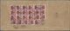 Br China - Besonderheiten: German Offices, 1911, 4 C. / 10 Pf. (23, Inc. Strip-5 And Two Strips-4) Canc - Andere & Zonder Classificatie