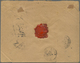 Br Französisch-Indochina: 1894. Registered Envelope (roughly Opened) To France Bearing Lndo-China Yvert - Brieven En Documenten