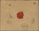 Br Französisch-Indochina: 1894. Registered Envelope (roughly Opened) To France Bearing Lndo-China Yvert - Covers & Documents