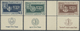 ** Israel: 1949, Jewish Festivals 5-35 Pr. With Short Tabs, 35 Pr. Stamp With Sheet Margin At Left, Min - Other & Unclassified