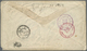 Br Japan: 1876, The Green TOKEI Cover: Old Koban 5 S. Brown Horizontal Pair Canc. Small Green Flower Of - Other & Unclassified