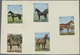 (*) Schardscha / Sharjah: 1972, Horses, Complete Set Of Five Values And The Souvenir Sheet, Two Mirror-i - Sharjah