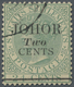 O Malaiische Staaten - Johor: 1891, Straits Settlements QV 24c. Green With Opt. 'JOHOR / Two / CENTS' - Johore