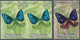 ** Malaysia: 1970, Butterflies 25c. 'Euploea Leucostictos Leucogonis' Horizontal Imperforate PROGRESSIV - Maleisië (1964-...)