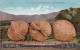 Exaggeration Image 'Carload Of Walnuts' Giant Walnuts On Railroad Flatcar, C1900s Vintage Postcard - Other & Unclassified