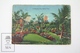 Vintage 1954  Postcard Folder - Souvenir Miami Florida - The Magic City - Miami