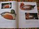 Catalogu1994 Ehrman Tapestry58 Pages De Modèles Couleur  Avec Références SANS Diagrammes  Tapisserie Laine - Autres & Non Classés