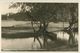 Lychen - Am Oberpfuhl Mit Blick Auf Die Knippscheere - Foto-AK 30er Jahre - Verlag J. Goldiner Berlin - Lychen