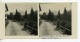 Suisse Val D'Anniviers Vissoie Ancienne Photo Stereo Amateur Possemiers 1910 - Photos Stéréoscopiques