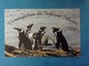 POSTCARD CARTOLINA FORMATO GRANDE VIAGGIATA ISOLE FALKLAND ISLANDS PINGUINI - Falkland