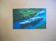 Panama - Carte Postale Du Canal: S.S.Ruahine - Bateau - Handel
