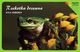 Voyo POLAND Protected Animals EUROPEAN TREE FROG Rzekotka - Hyla Arborea  - Used Phone Card 2002 # 1355 - Poland