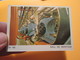 COMPLETEZ VOS ALBUMS !! Image Cartonnée TBE (recupération ) / N° 105 MOTO-PARADE AMERICANA MUNICH Genre PANINI - Moto