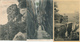 019//26 - LUXEMBOURG -  Petit Ensemble De 6 Cartes-Vues Cachets AMBULANT Ou CONVOYAGE 1902 / 1933 - 1926-39 Charlotte De Profil à Droite
