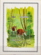 Zaire MNH Okapi, WWF Set And SS - Unused Stamps