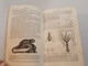 1855 Cours élémentaire D'histoire Naturelle, Zoologie Par Milne Edwards, 473 Figures - Nature