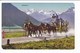 Lot 3 Cpa Voiture à Chevaux  Suisse --Alpenpost - Furkastrasse Mi Rhonegletscher - Die Schölenen Am Gotthard - Autres & Non Classés