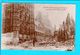 Cpa  Carte  Postale Ancienne  - Louvain Apres Le Passage Des Barbares - Guerre 1914-18