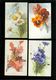 Beau Lot De 20 Cartes Postales De Fantaisie Illustrateur Catharina Klein  Mooi Lot Van 20 Postkaarten Van Fantasie Klein - 5 - 99 Cartes