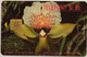 Peru  S/20 Scuticaria Mooreana Orchids - Perú