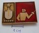 RUSSIA USSR , FENCING,  PINS BADGES PLAS - Fencing