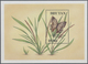 **/O Bhutan: 1964/1993 (ca.), Accumulation In Glassines Etc. In Box With Stamps And Miniature Sheets Incl - Bhoutan