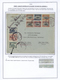 Delcampe - **/*/O/Br Bolivien: 1923/37 - BOLIVIA AIR MAIL: A Magnificent Study Of The Evolution Of Air Mail In Bolivia, O - Bolivie