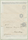 Delcampe - GA Chile - Ganzsachen: 1873/1925, Collection Of Postal Stationery In Two Albums, Mint And Used Througho - Chile