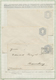 Delcampe - GA Chile - Ganzsachen: 1873/1925, Collection Of Postal Stationery In Two Albums, Mint And Used Througho - Chili