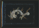 China - Besonderheiten: 1905: Chinese Laquer Album (dragon, Slightly Damaged) With 27 Photos, War Sh - Autres & Non Classés
