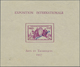 */**/O Französisch-Indien: 1893/1950, Mainly Mint Collection In A Stockbook, Well Collected Throughout From - Lettres & Documents